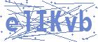 securityCode