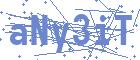 securityCode
