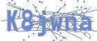 securityCode