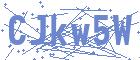 securityCode