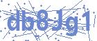 securityCode