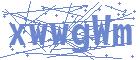 securityCode