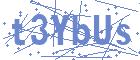 securityCode