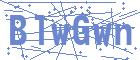 securityCode
