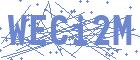 securityCode