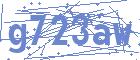 securityCode
