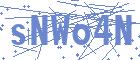 securityCode