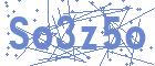securityCode