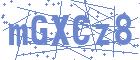 securityCode