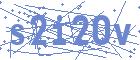 securityCode