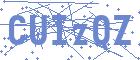 securityCode