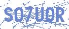 securityCode