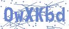 securityCode