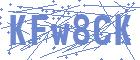 securityCode