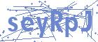 securityCode