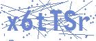 securityCode