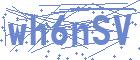 securityCode