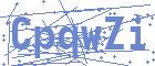 securityCode
