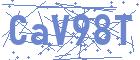 securityCode