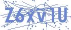 securityCode