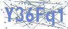 securityCode