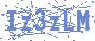 securityCode
