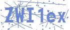 securityCode