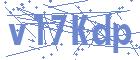 securityCode