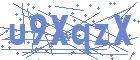 securityCode