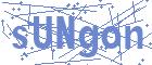 securityCode