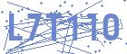 securityCode