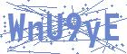 securityCode