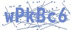 securityCode