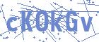 securityCode