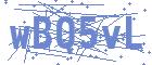 securityCode