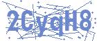 securityCode