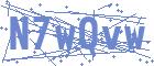 securityCode