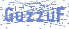 securityCode
