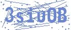 securityCode