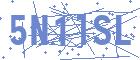 securityCode