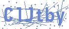 securityCode