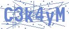 securityCode