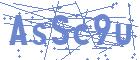 securityCode