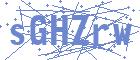 securityCode
